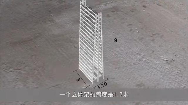 新加坡城市农场5平米一年种出38000棵蔬菜，独特立体栽培，想建吗