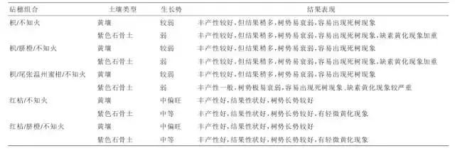 四川不知火（丑柑）种植技术大全！