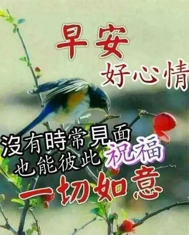 简简单单最幸福，早晨希望最光芒，时刻微笑牢记，新的一天新希望