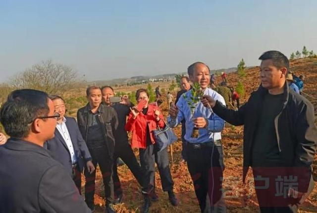 请来“土专家”，学种“摇钱树”罗山县找对“路子”种油茶谋振兴