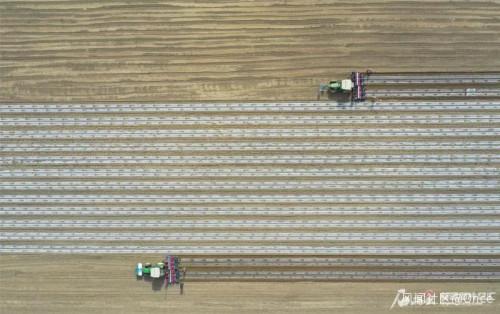 热火朝天！新疆阿克苏地区710万亩棉花春播，机械化率超89％