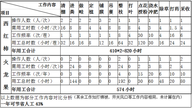 北方种植火龙果更赚钱！成本效益及风险分析