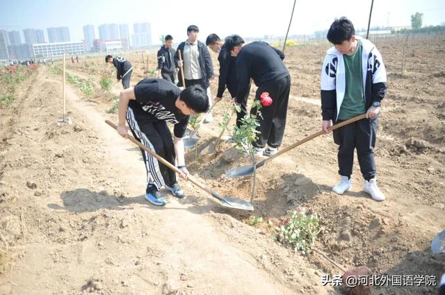 百余种、千余亩、十万余棵，千亩秀林在河北外国语学院新校区扎根