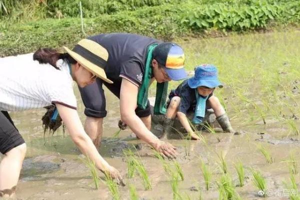 陪孩子种植物吧！孩子会出现这3种惊喜变化，现在知道还不晚