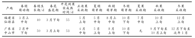 嘉宝果在引种表现及其高效栽培关键技术