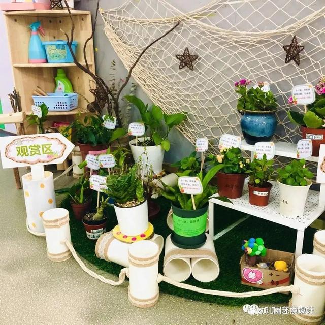 跟着创意学幼儿园植物区角布置，让浓缩的大自然“活”起来｜环创