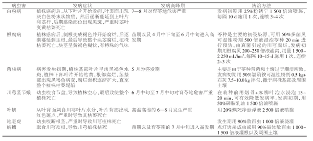 四川川芎高效栽培关键技术