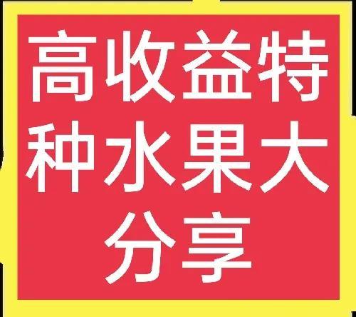 200个农村创业项目大分享(5)之：特种水果种植篇