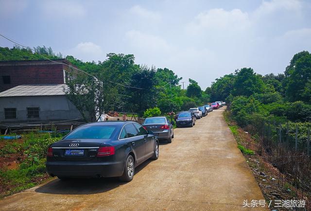 长沙南部有个蓝莓基地，果大微酸带甜味，初夏已进入盛果采摘期