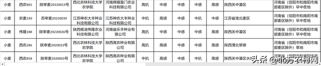 河南省最新引种20个小麦品种，其中2个品种抗病能力好