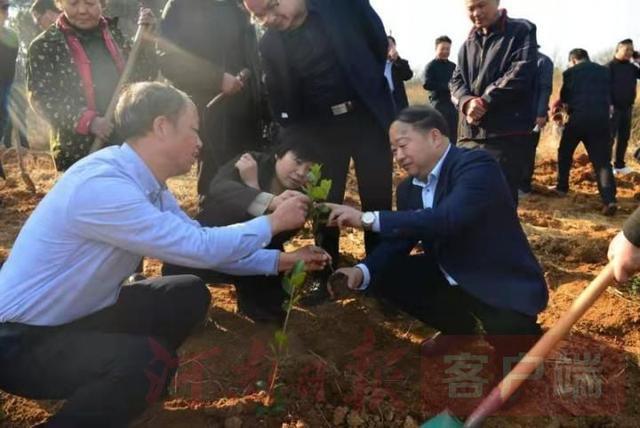 请来“土专家”，学种“摇钱树”罗山县找对“路子”种油茶谋振兴