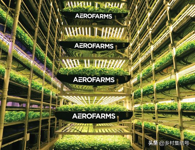 美国Aero农场——垂直农场创新生产模式，室内垂直农业的领导者