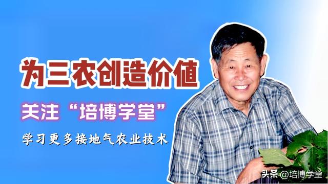 孙培博：不要再误解有机农业了？来自80岁老农业科学家者的心声