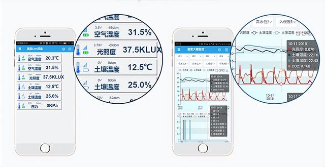 花椒的智能水肥一体栽培技术