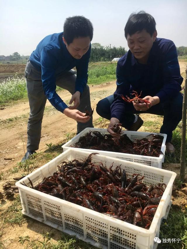 腊树镇发展生态产业助力乡村振兴