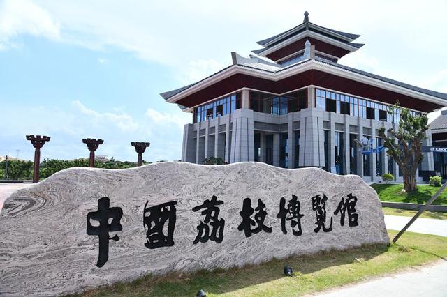 广东茂名：完善市场体系建设 “小荔枝”成为“致富果”