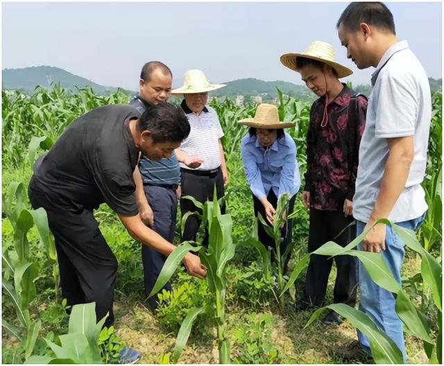 农业种植技术小知识