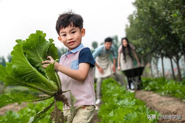 孙培博：不要再误解有机农业了？来自80岁老农业科学家者的心声