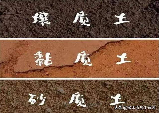 黏质、沙质、壤质的土壤差别大，“看地施肥”才能显著提高肥效