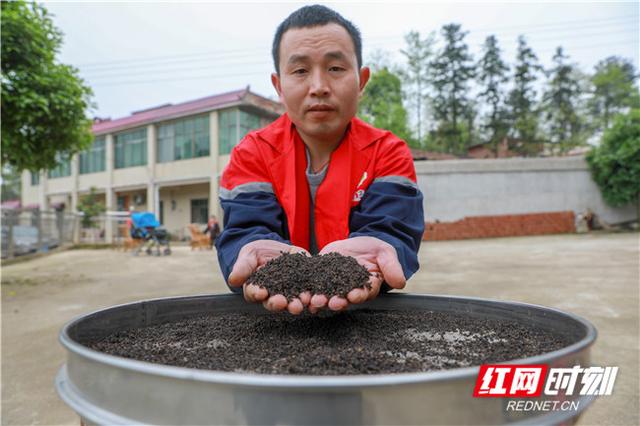 湘农荟·一村一品丨衡阳县阳光村：八月瓜园花飘香 果农丰收在望