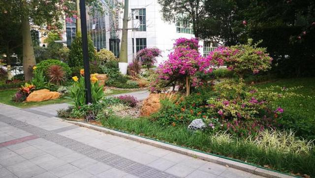 干货丨花境营造——植物与空间的哲学