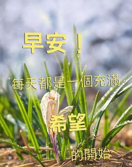 简简单单最幸福，早晨希望最光芒，时刻微笑牢记，新的一天新希望