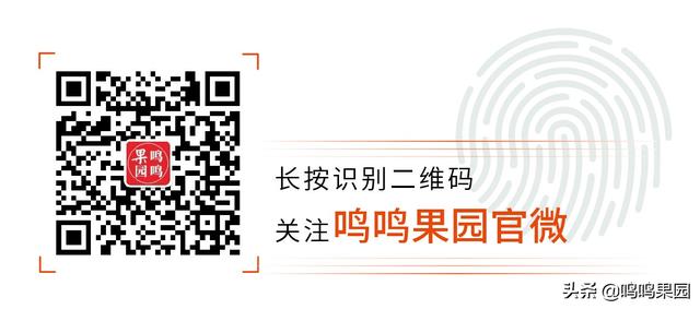 中国果品企业自主品牌150强榜单发布！鸣鸣果园位列第57位