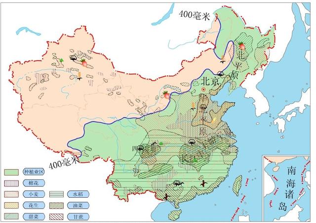 耐盐碱的“海水稻”在我国种植大有可为，可解决一亿人的口粮问题