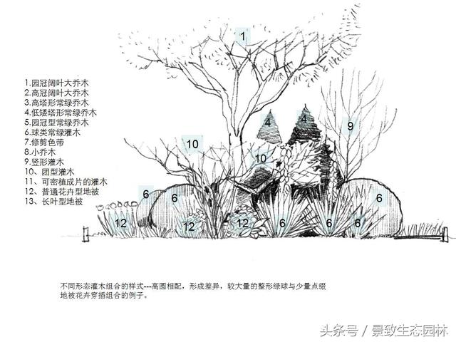 龙湖地产景观标准化-园林苗木种植搭配