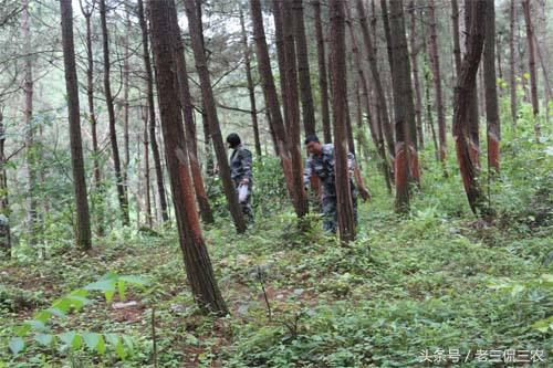 算得上农村人的摇钱树，曾助不少人赚钱了，如今还有人沉醉种植啊