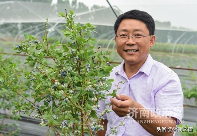 《济南人物》济南市蓝莓种植领头雁 杨松泼