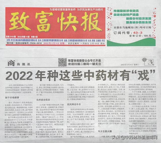 2022年种这些中药材有戏