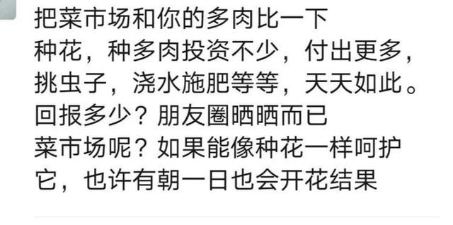 养花种多肉到底有什么用？答案在这里