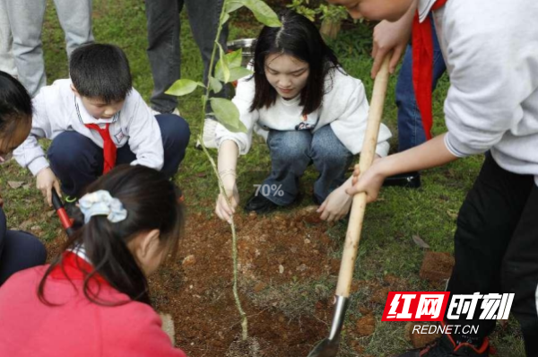 给孩子们讲一讲：柑橘树里的振兴梦