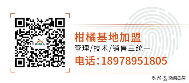 中国果品企业自主品牌150强榜单发布！鸣鸣果园位列第57位