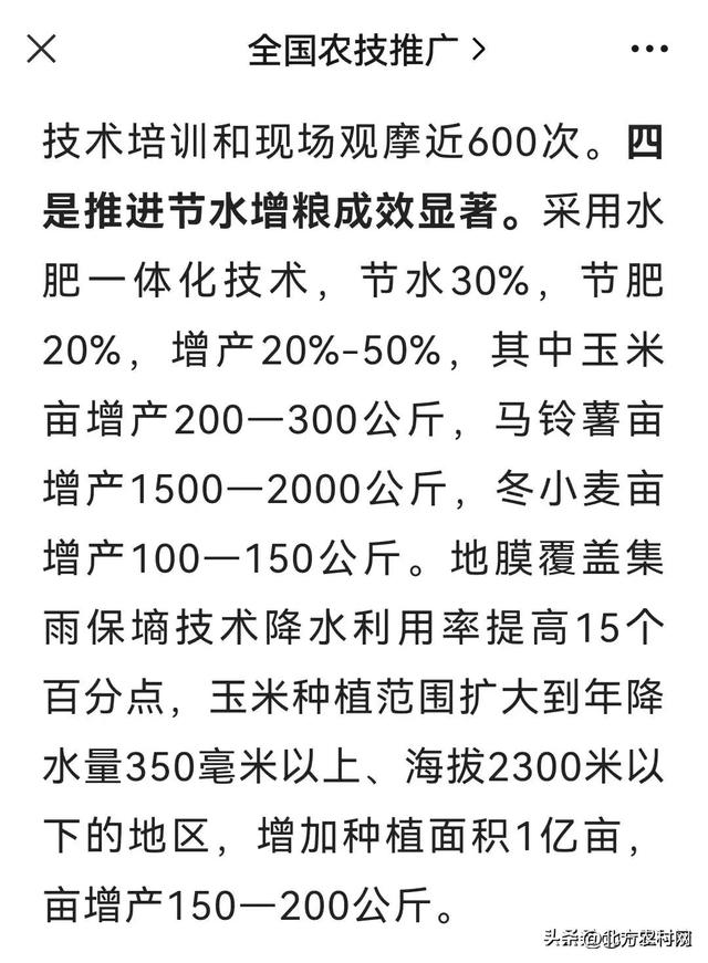 适合河南省种植：十个大粒型小麦品种，省肥又高产