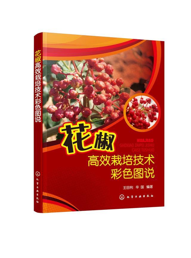 常见花椒优良品种及栽培要点（1）