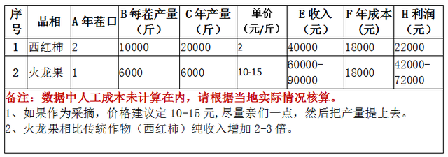 北方种植火龙果更赚钱！成本效益及风险分析