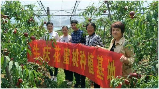 费县薛庄镇虎山前村种植大棚油桃领头雁 ——临沂优秀中级新型职业农民李文立