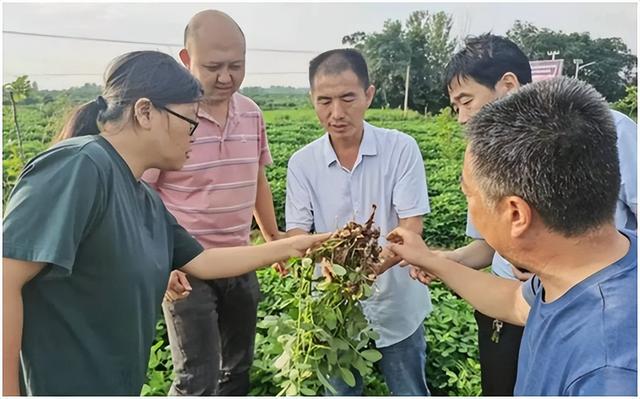 农业种植技术小知识