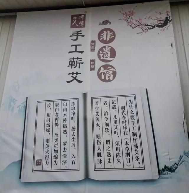 一年四季有鲜艾，艾师傅种艾有新招