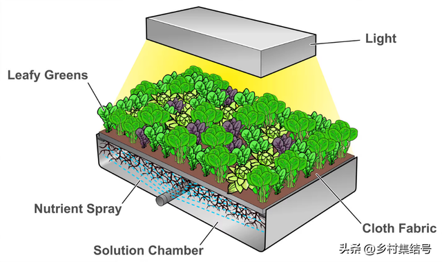 美国Aero农场——垂直农场创新生产模式，室内垂直农业的领导者