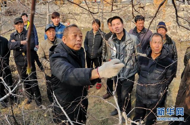 奋斗百年路 启航新征程·数风流人物｜李保国：用科技之手“点石成金”