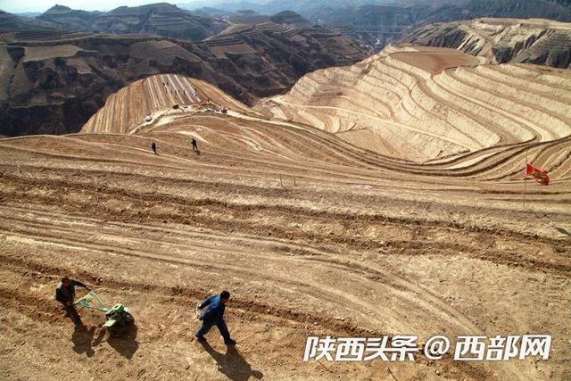 荒山变果园 吴堡李家河村打造千亩山地苹果基地