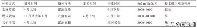 芹菜“温室育苗+水肥一体化”栽培技术