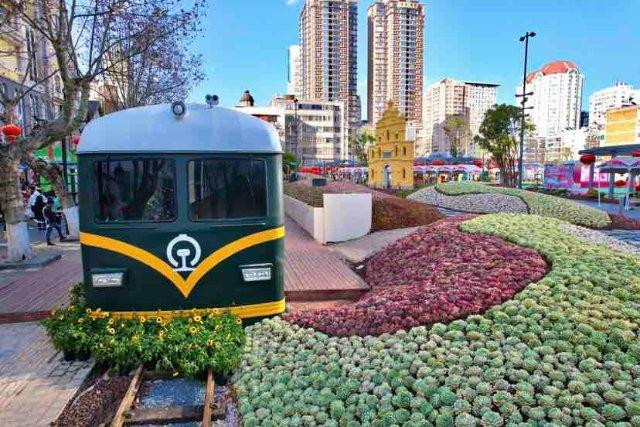 昆明南屏街：30余万盆多肉植物铺出“梦幻花园”