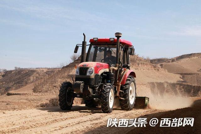 荒山变果园 吴堡李家河村打造千亩山地苹果基地