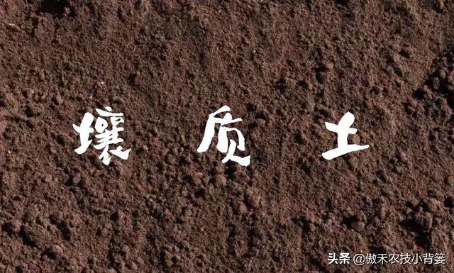 黏质、沙质、壤质的土壤差别大，“看地施肥”才能显著提高肥效