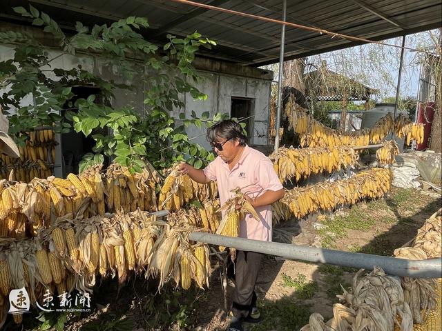 一路追“丰”丨林间套种，立体种植“一地多收”