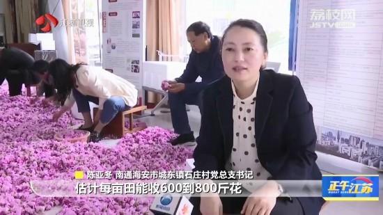 江苏：初夏花果飘香 带动农户增收致富